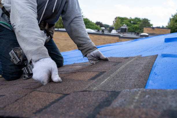 Roof Waterproofing Services in Oatfield, OR